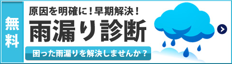 雨漏り診断