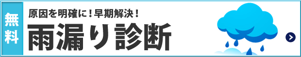雨漏り診断