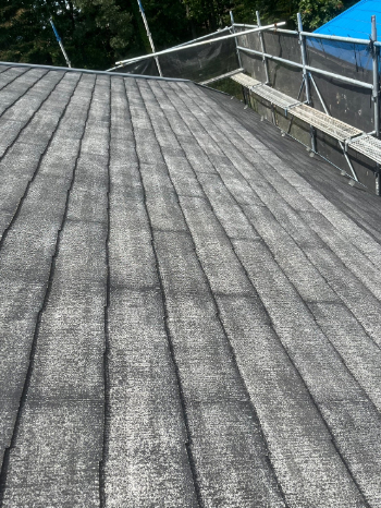 kodaira-roof-painting-before-t9412.JPG