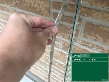 r621_Ssama_tyu11.JPG