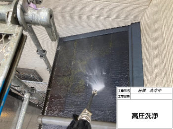roof_bio wash001.png